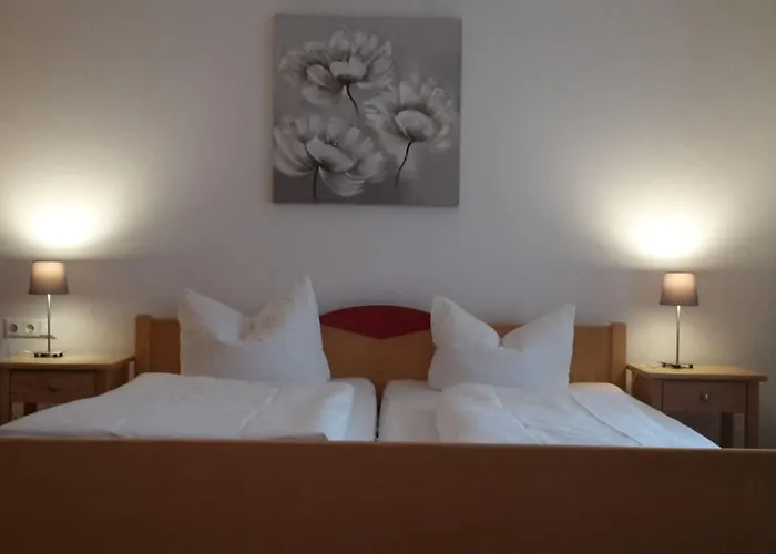 Esterer Hotel 3*